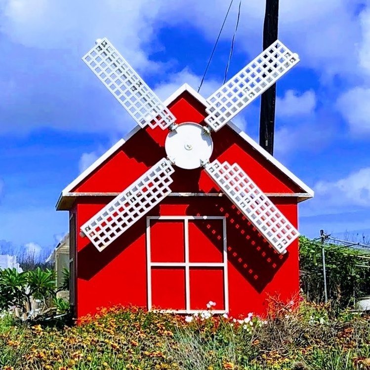 南寮風車有機農場
